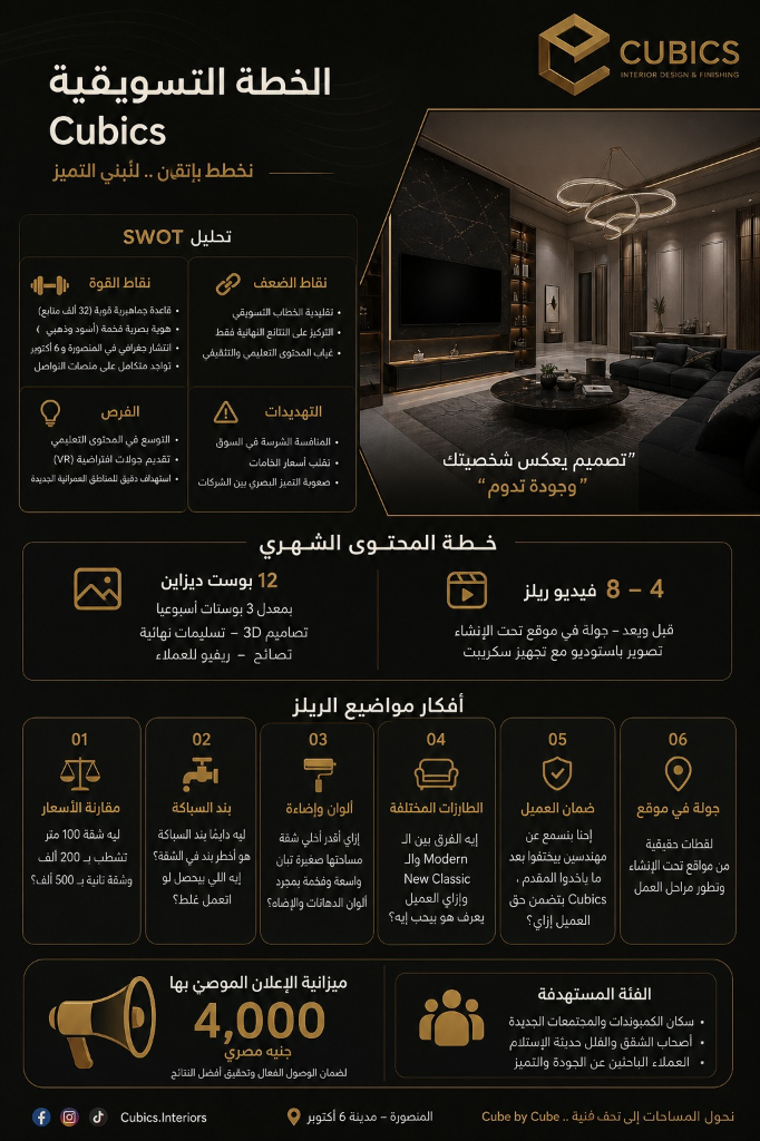 Social Media Growth Campaign - Marketing Strategy for Cubics
